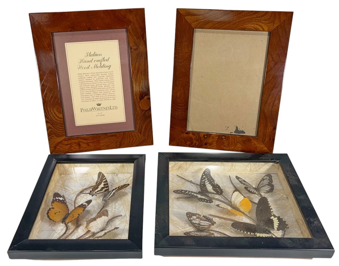Butterfly Taxidermy Framed Displays Cases 4pc LOT (1 of 5)