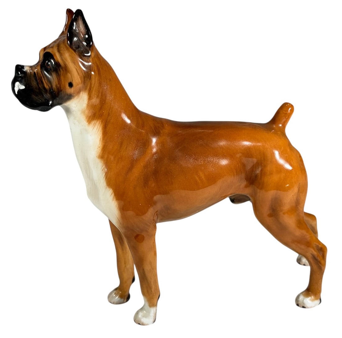 Royal Doulton Porcelain Standing Boxer Dog Fig: Royal Doulton porcelain figurine depicting "Dalton," a standing Boxer dog. Finely modeled with alert expression, cropped ears, and hand-painted tan, black, and white coloration. Produced in England an