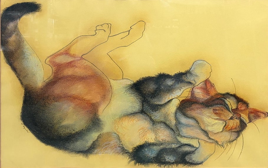 Attributed Paul Hazuka Mixed Media Cat Art Framed: Attributed to Paul Hazuka, this mixed media drawing depicts a curled sleeping cat rendered in watercolor, pastel, and charcoal or ink on yellow paper. Signed upper left, presented under glass with a