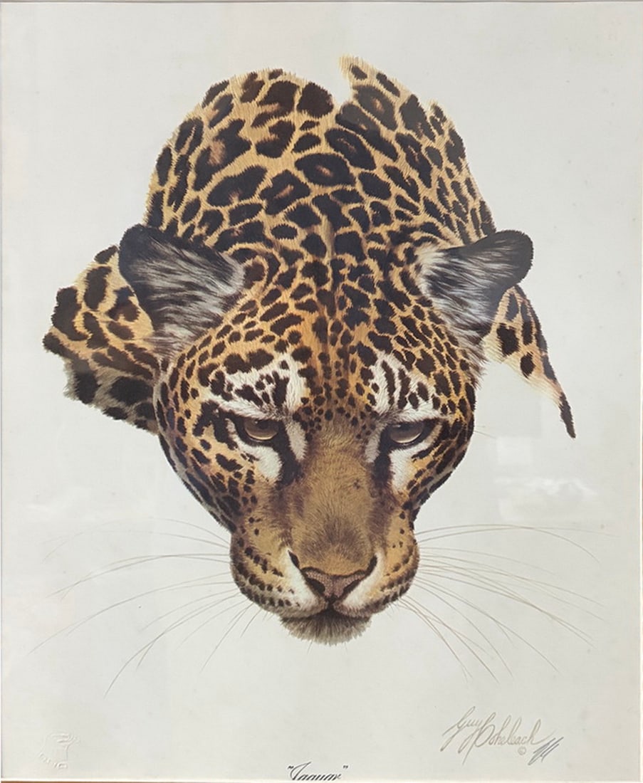 Guy Coheleach Jaguar Print Framed Wildlife Art (1 of 5)