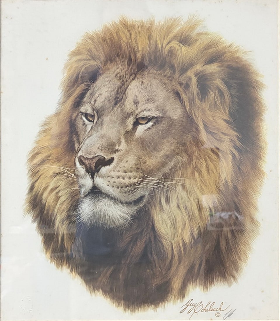 Guy Coheleach Lion Print Framed Wildlife Artwork (1 of 5)
