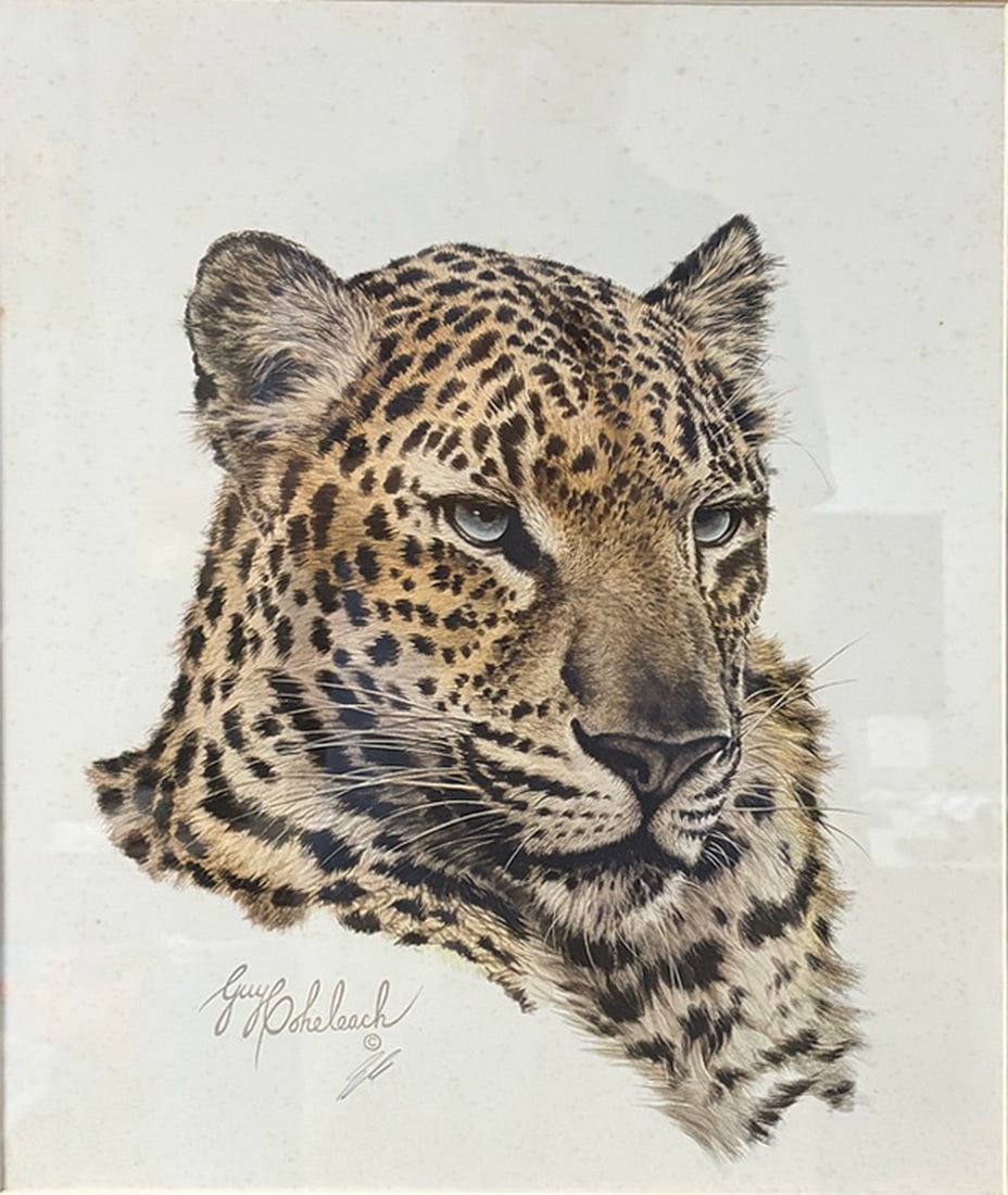 Guy Coheleach Leopard Lithograph Framed Artwork (1 of 5)