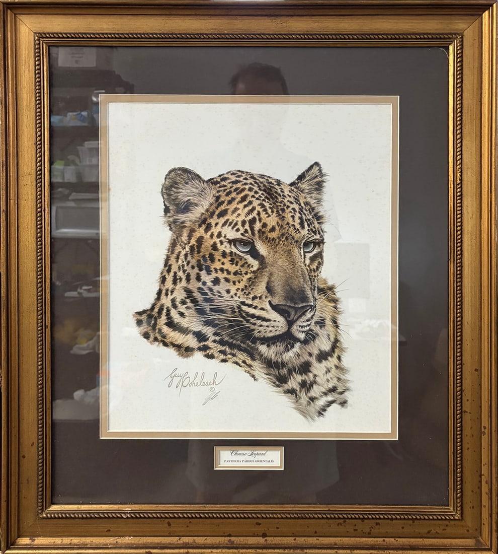 Guy Coheleach Leopard Lithograph Framed Artwork - 2