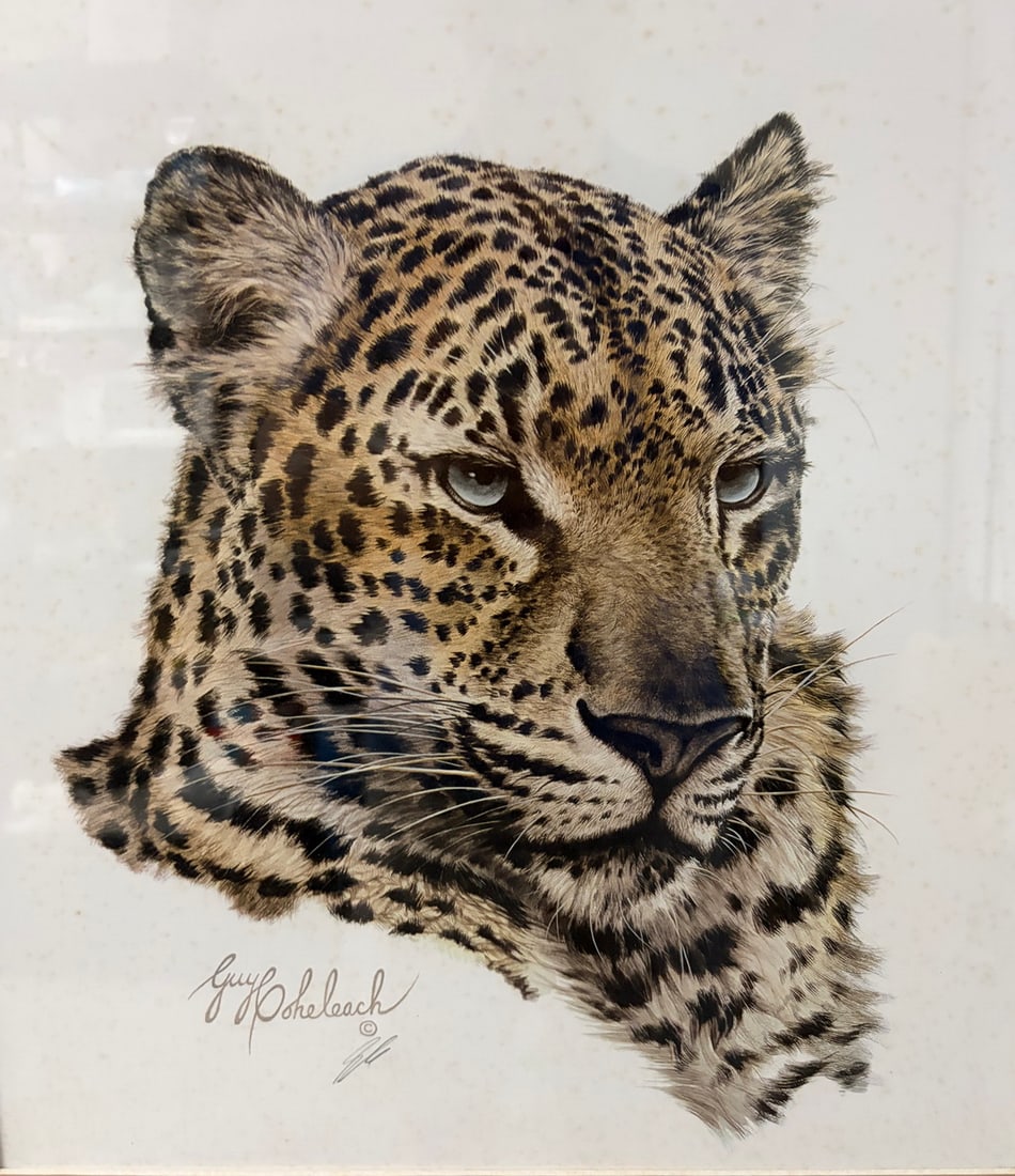 Guy Coheleach Leopard Lithograph Framed Artwork - 3