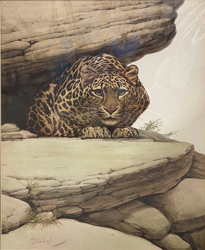 Guy Coheleach Ambush Lithograph Framed Wildlife (1 of 4)