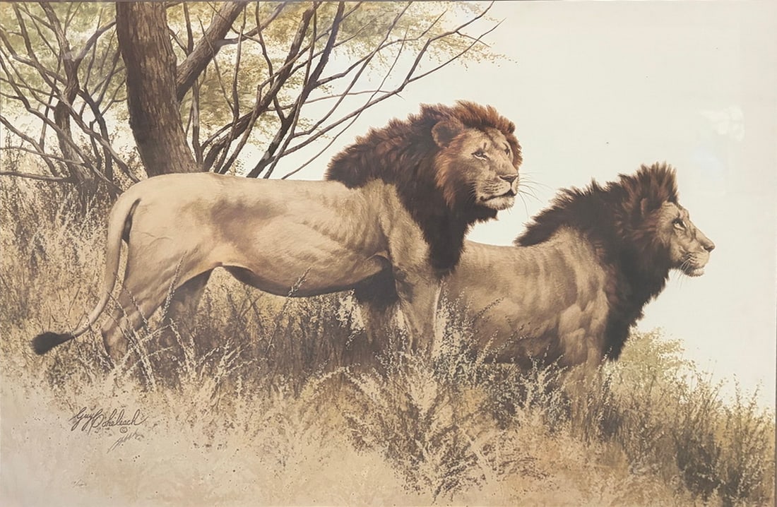 Guy Coheleach Signed Lion Print Framed Artwork: Framed wildlife print by Guy Coheleach depicting two male lions in a natural landscape. Numbered 19/1000 and bearing the artist's signature in the lower right. Professionally matted and displayed