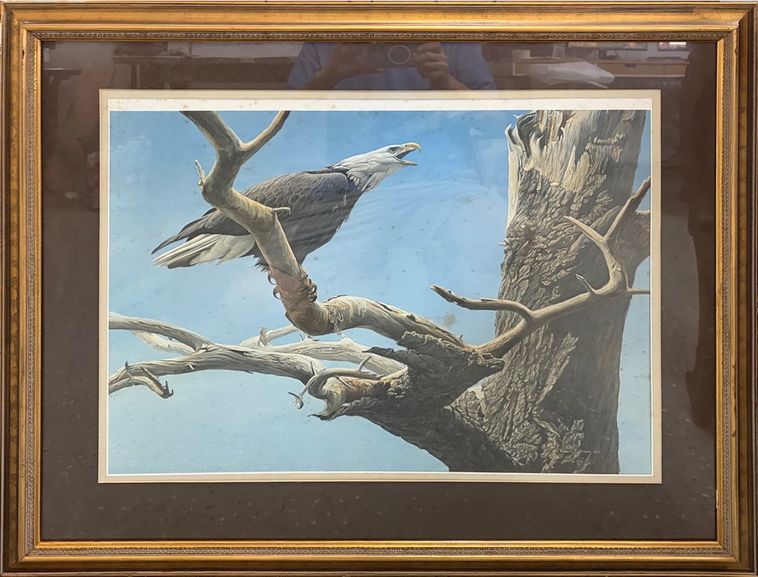 Robert Bateman Eagle Framed Wildlife Print Artwork - 2