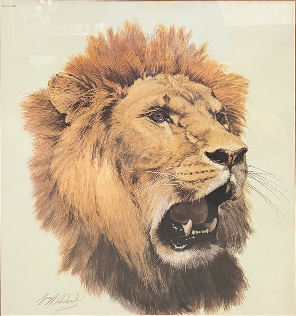 Guy Coheleach African Lion Framed Print Plate XXII: Framed wildlife print by Guy Coheleach depicting a roaring African lion in close-up portrait. Identified as Plate No. XXIII and bearing a pencil signature by the artist in the lower left. Includes