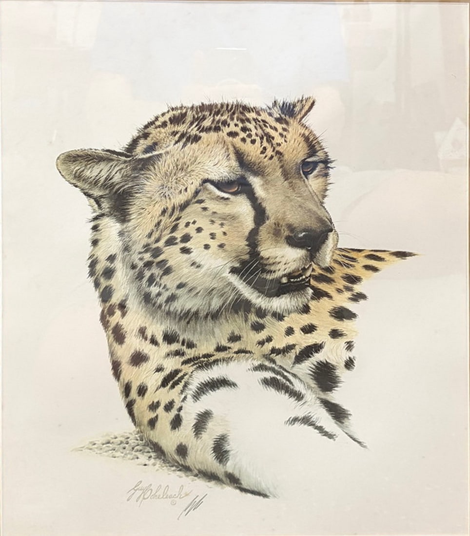 Guy Coheleach Cheetah Head Framed Wildlife Print: Framed wildlife print by Guy Coheleach titled "Cheetah Head" (Acinonyx jubatus). Features a printed artist signature with title plaque, professionally matted and framed under glass. Work Size: 17 x