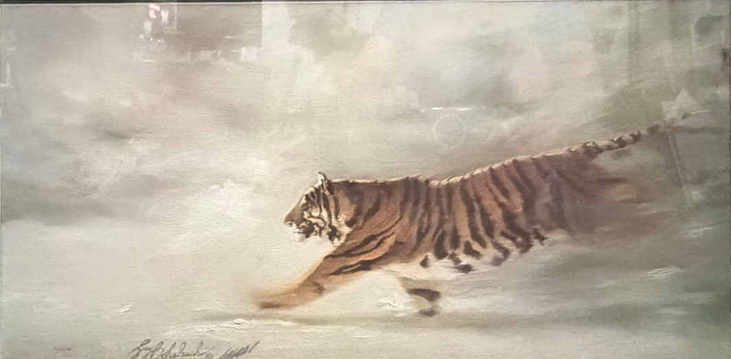 Guy Coheleach Siberian Chase Framed Wildlife Print: Framed wildlife print by Guy Coheleach titled "Siberian Chase." Features a tiger running through snow with a printed artist signature, matted and framed under glass. Work Size: 11.5 x 24 in.