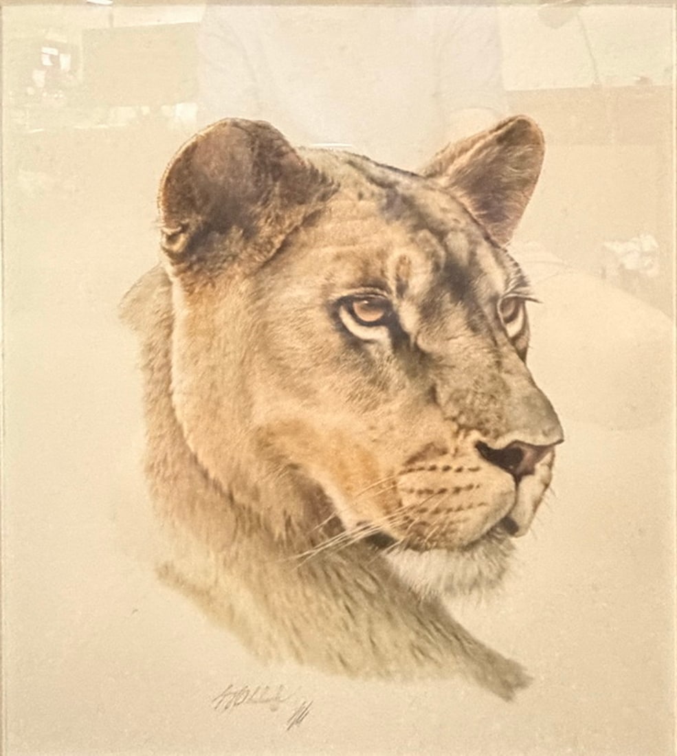 Guy Coheleach Lioness Head Framed Wildlife Print: Framed wildlife print by Guy Coheleach titled "Lioness Head." Features a lioness portrait with printed artist signature, matted and framed under glass. Work Size: 18 x 15 in. Dimensions: 27 X 23 X 1
