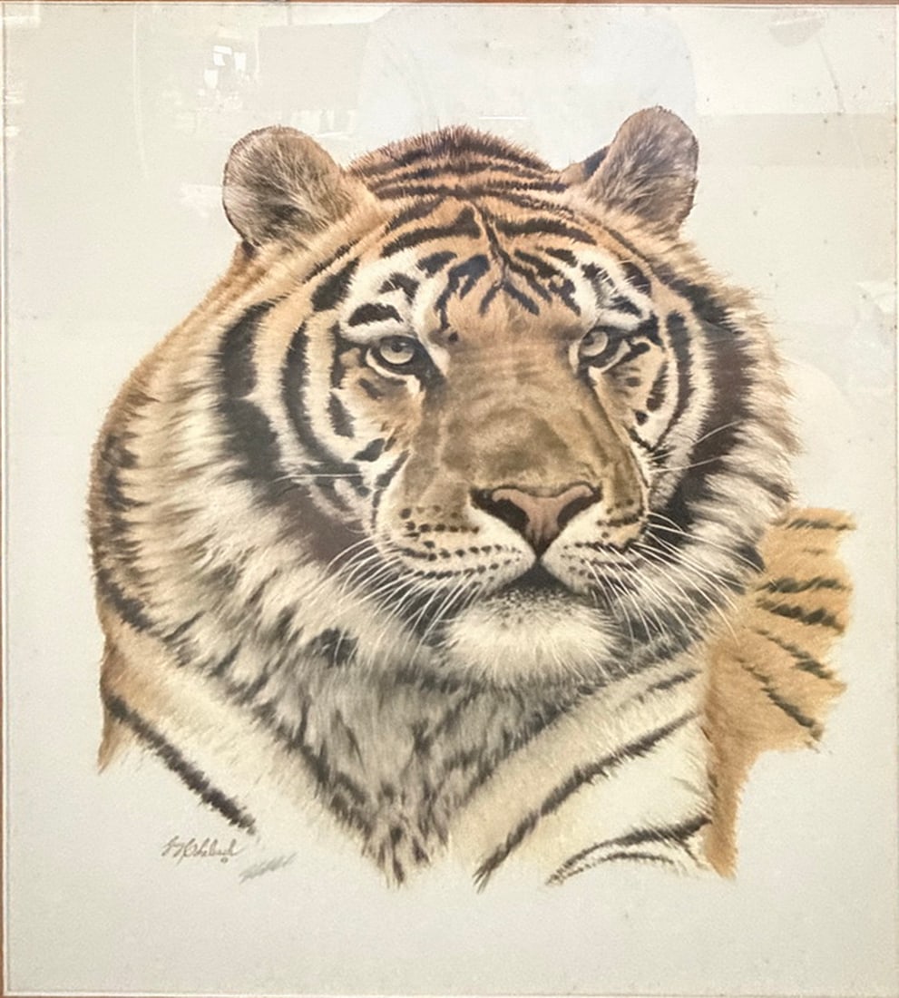 Guy Coheleach Siberian Tiger Head Framed Print: Description:Framed wildlife print by Guy Coheleach titled "Siberian Tiger Head." Features a frontal portrait of a Siberian tiger (Panthera tigris altaica) with printed artist signature, matted and fra