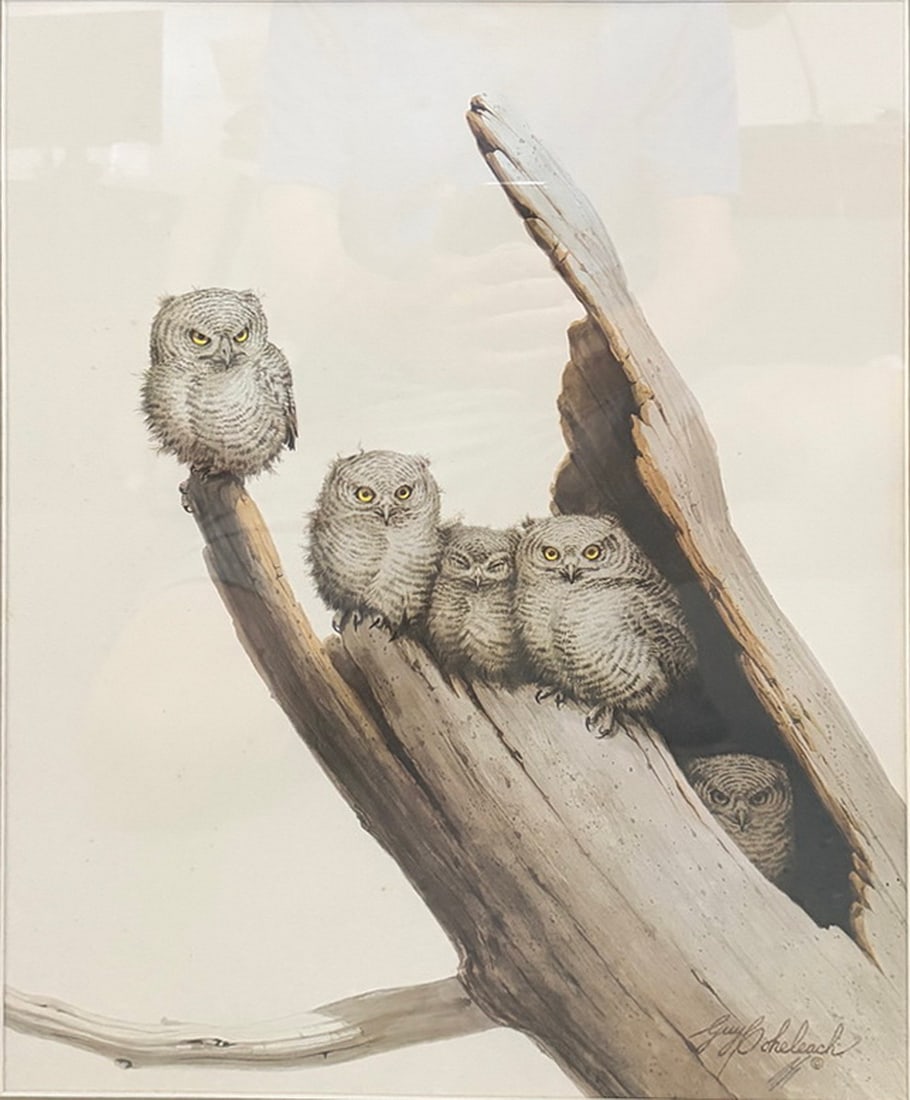 Guy Coheleach "Screech Owls" Signed Wildlife Print (1 of 5)