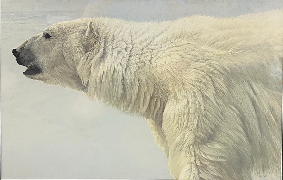 Robert Bateman Polar Bear Framed Lithograph Print (1 of 4)