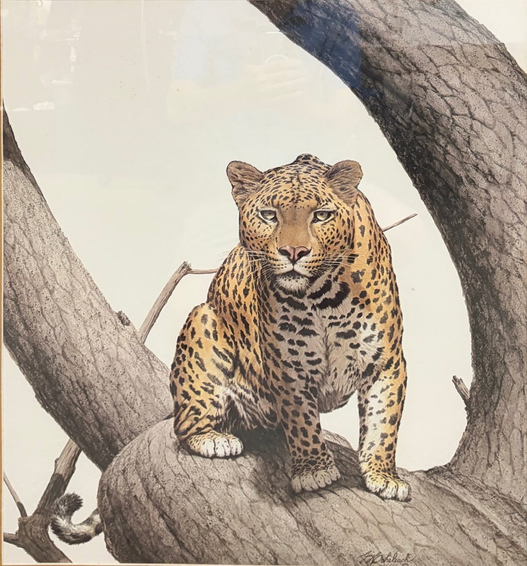 Guy Coheleach Leopard Stare Framed Lithograph (1 of 5)