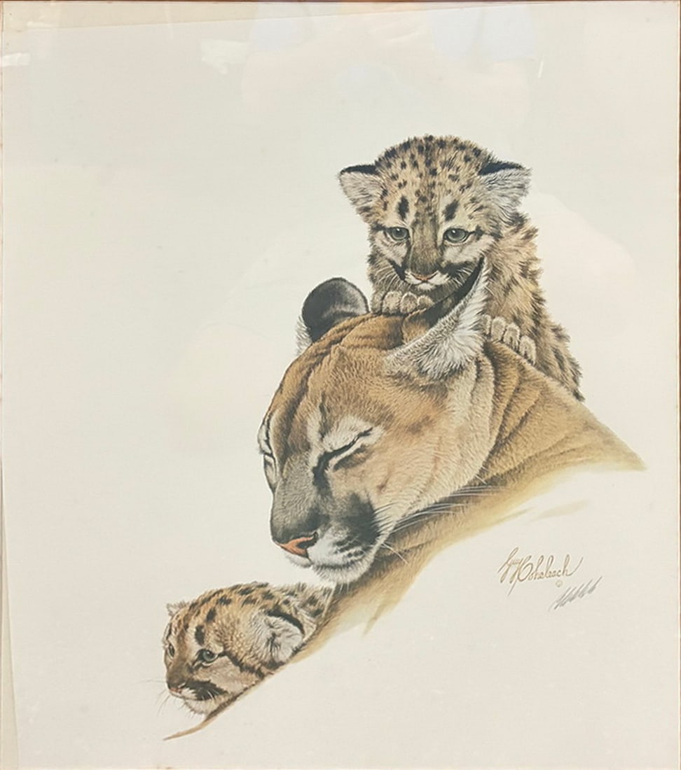 Guy Coheleach Cougar & Cubs Framed Lithograph: Framed lithograph titled Cougar & Cubs depicting a resting mountain lion with two cubs. After an original work by wildlife artist Guy Coheleach, with printed title plaque and printed signature in the 