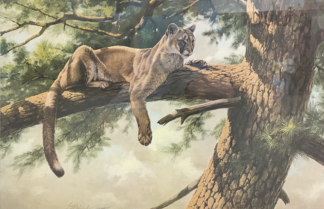 Guy Coheleach Cougar in Tree Framed Lithograph (1 of 4)