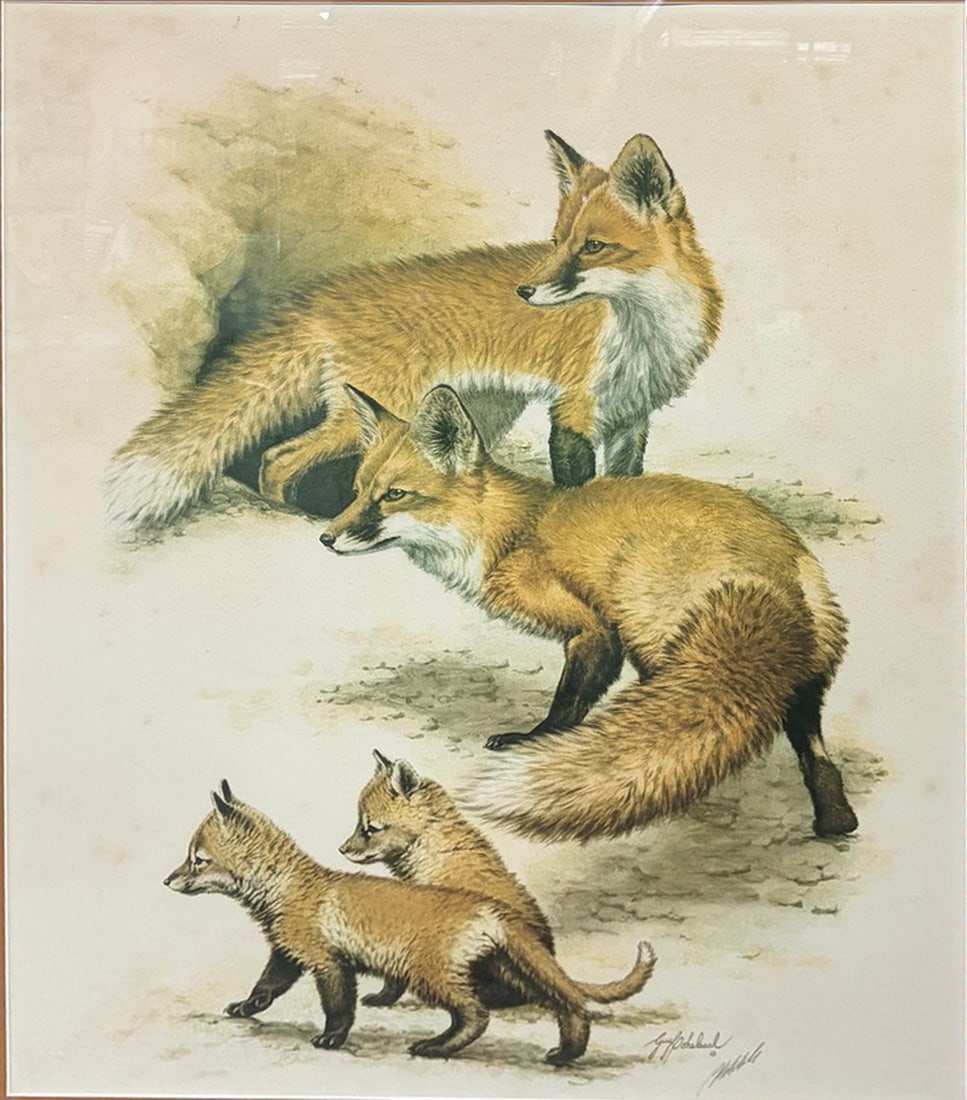 Guy Coheleach Fox Den Framed Signed Lithograph (1 of 5)
