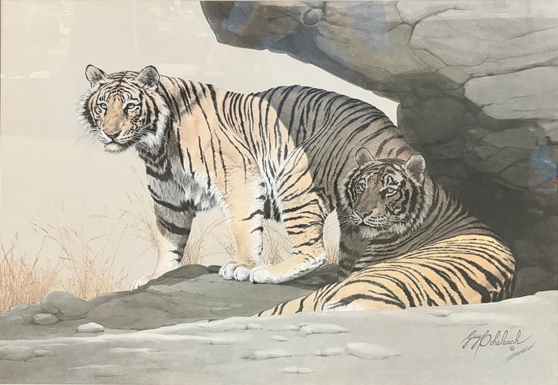 Guy Coheleach Bengal Bracer Framed Lithograph (1 of 5)