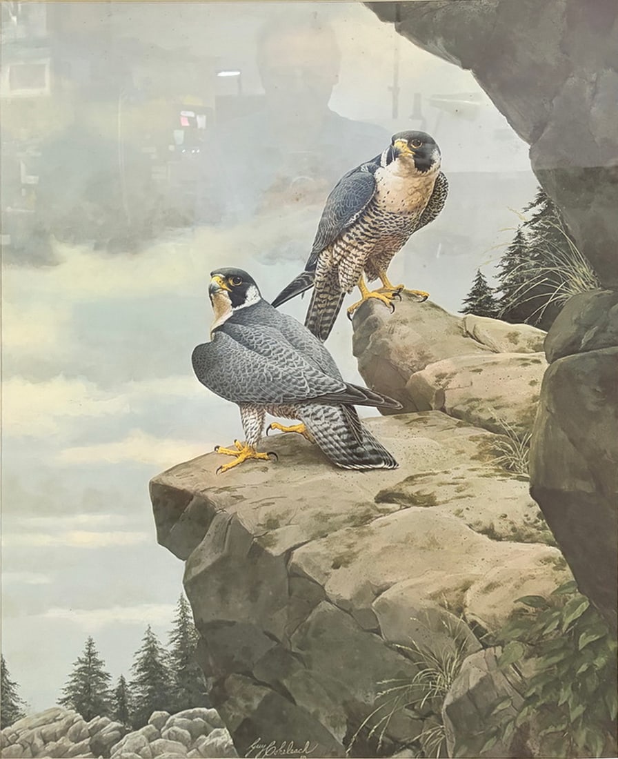 Guy Coheleach Peregrine Return Lithograph Art (1 of 5)