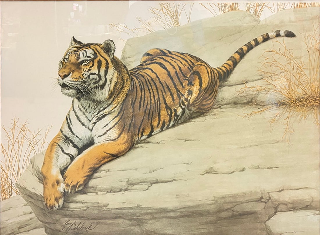 Guy Coheleach 'The Lookout' Tiger Lithograph (1 of 5)