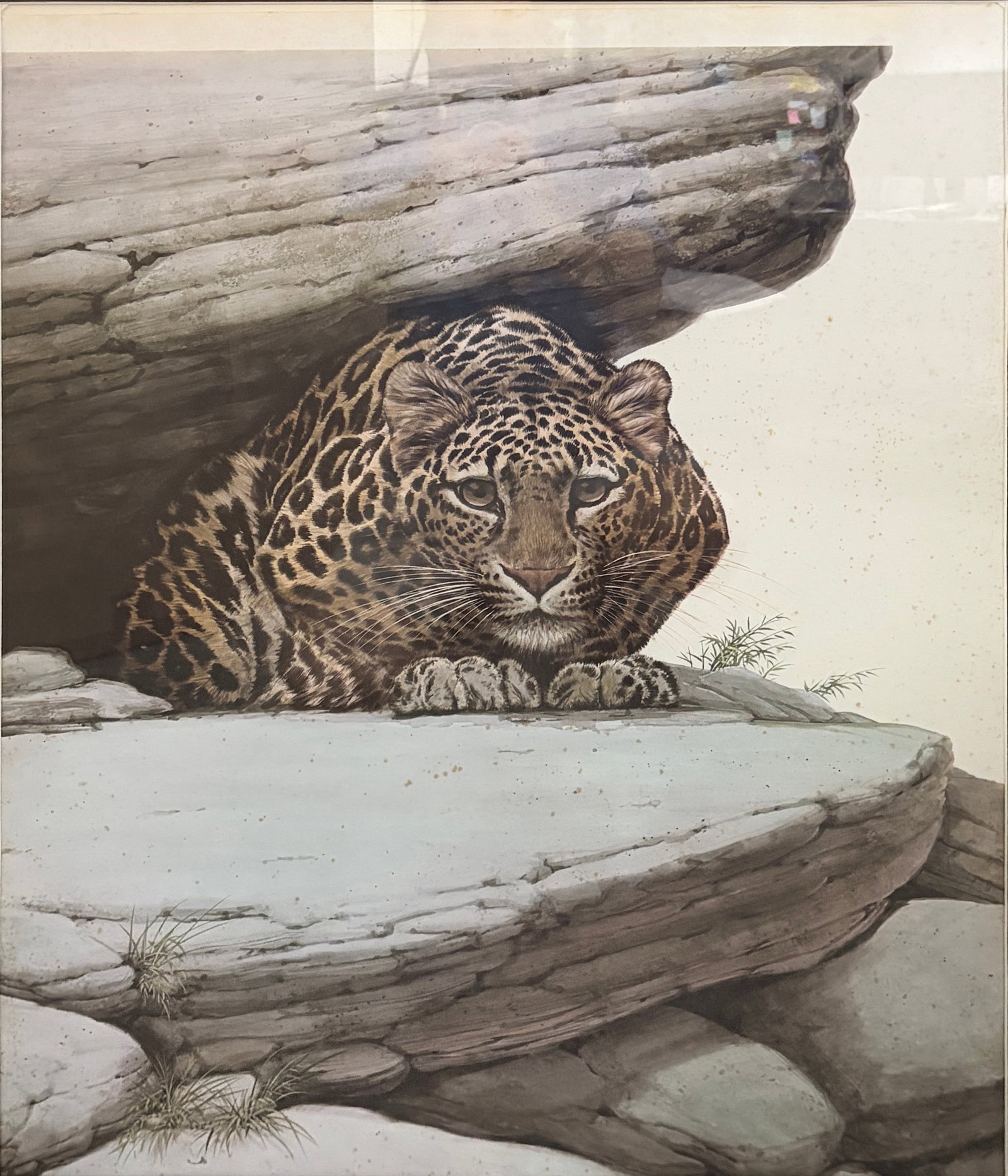 Framed Wildlife Print Leopard in Rocky Landscape: Framed wildlife print depicting a crouching leopard resting among rocky outcrops in a natural landscape. Presented with matting in a wood frame. No visible signature was found on the print. Work