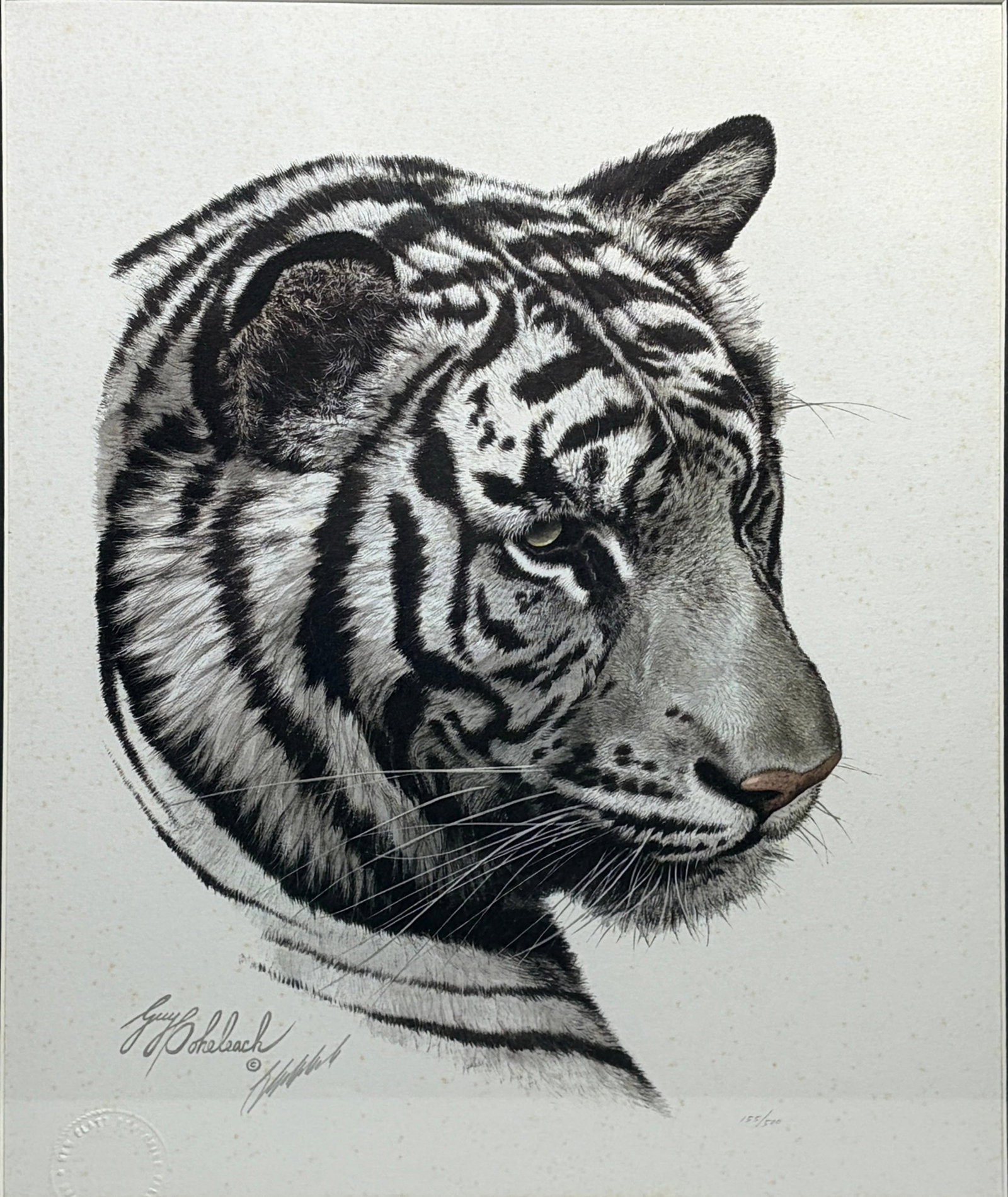 Guy Coheleach White Tiger Head LE Signed Print Art (1 of 5)