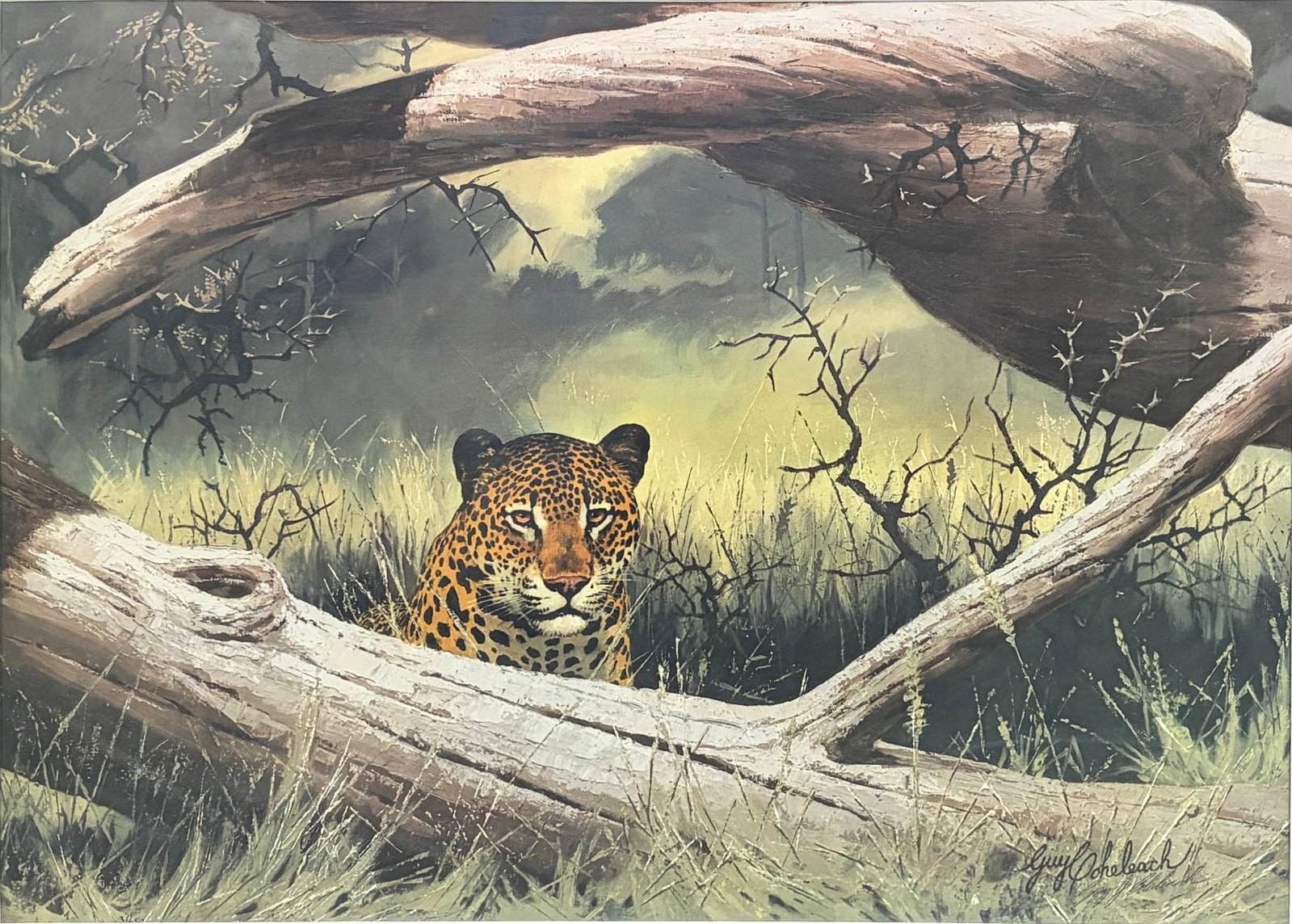 Guy Coheleach Leopard Signed Lithograph Framed Art: Framed signed lithograph by wildlife artist Guy Coheleach depicting a leopard peering from behind a fallen tree. The mat opening bears the title 'Leopard' and the scientific name Felis pardus. Hand