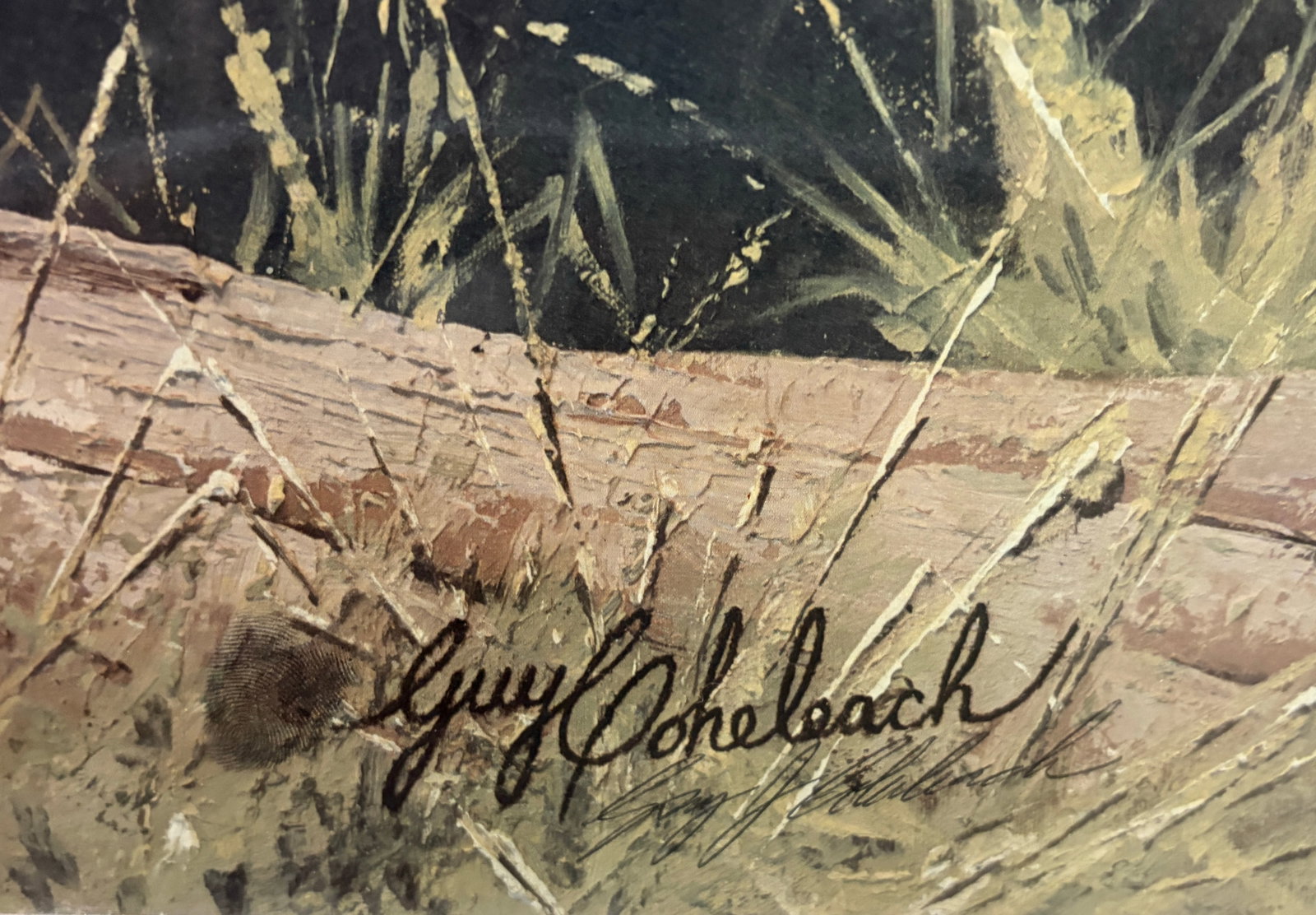 Guy Coheleach Leopard Signed Lithograph Framed Art - 4