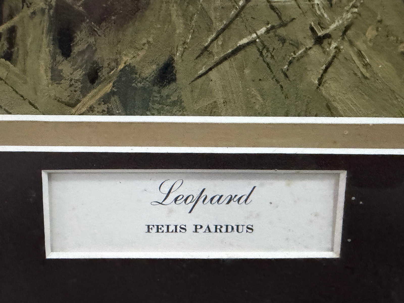 Guy Coheleach Leopard Signed Lithograph Framed Art - 5