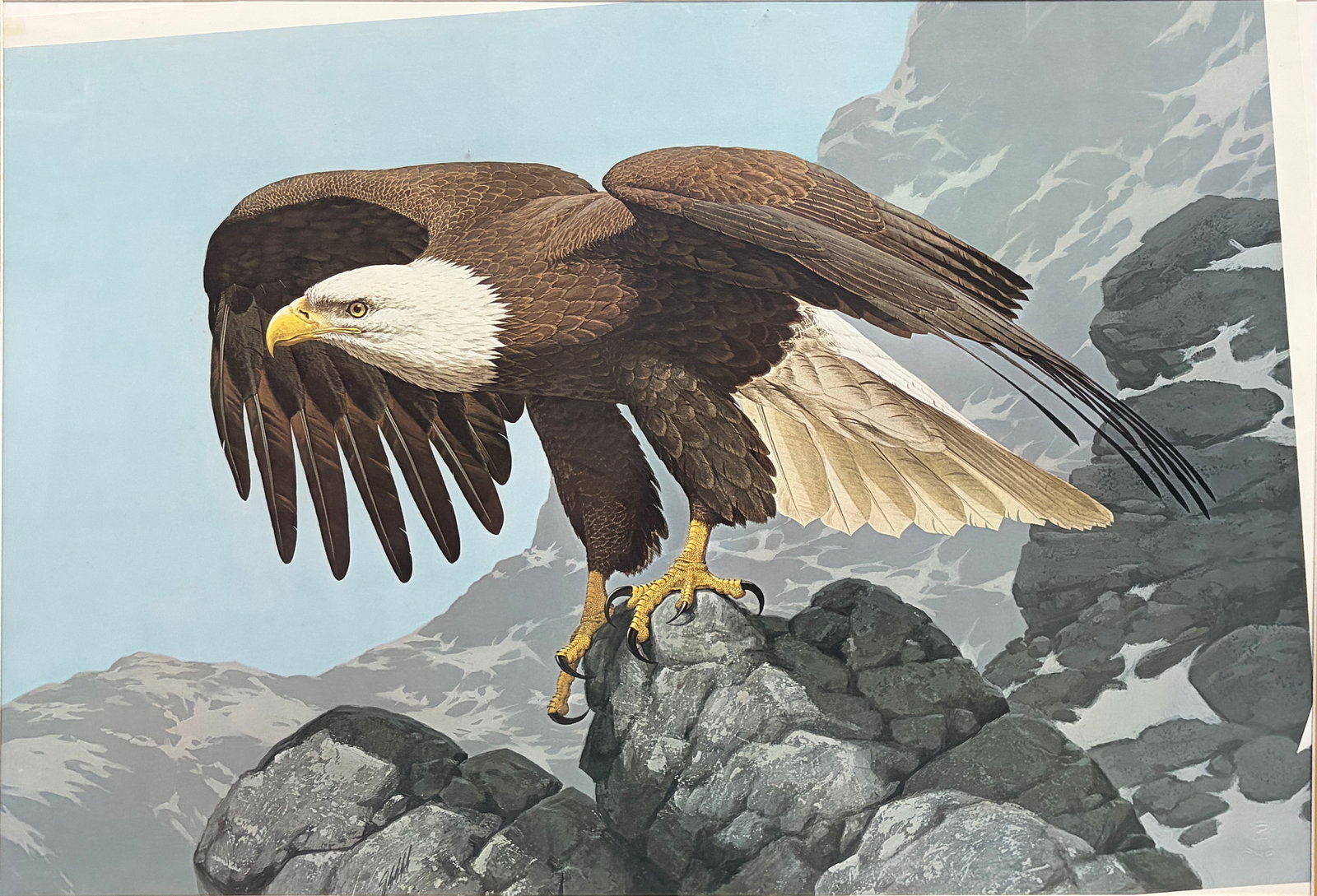 Guy Coheleach Signed Eagle Lithograph Framed Art (1 of 5)