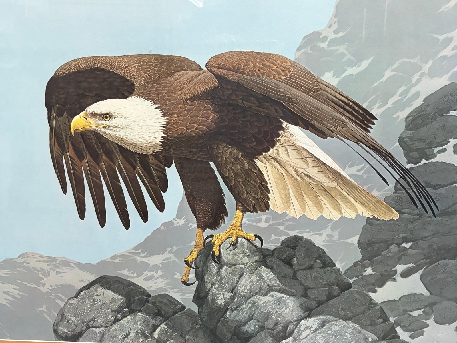 Guy Coheleach Signed Eagle Lithograph Framed Art - 3