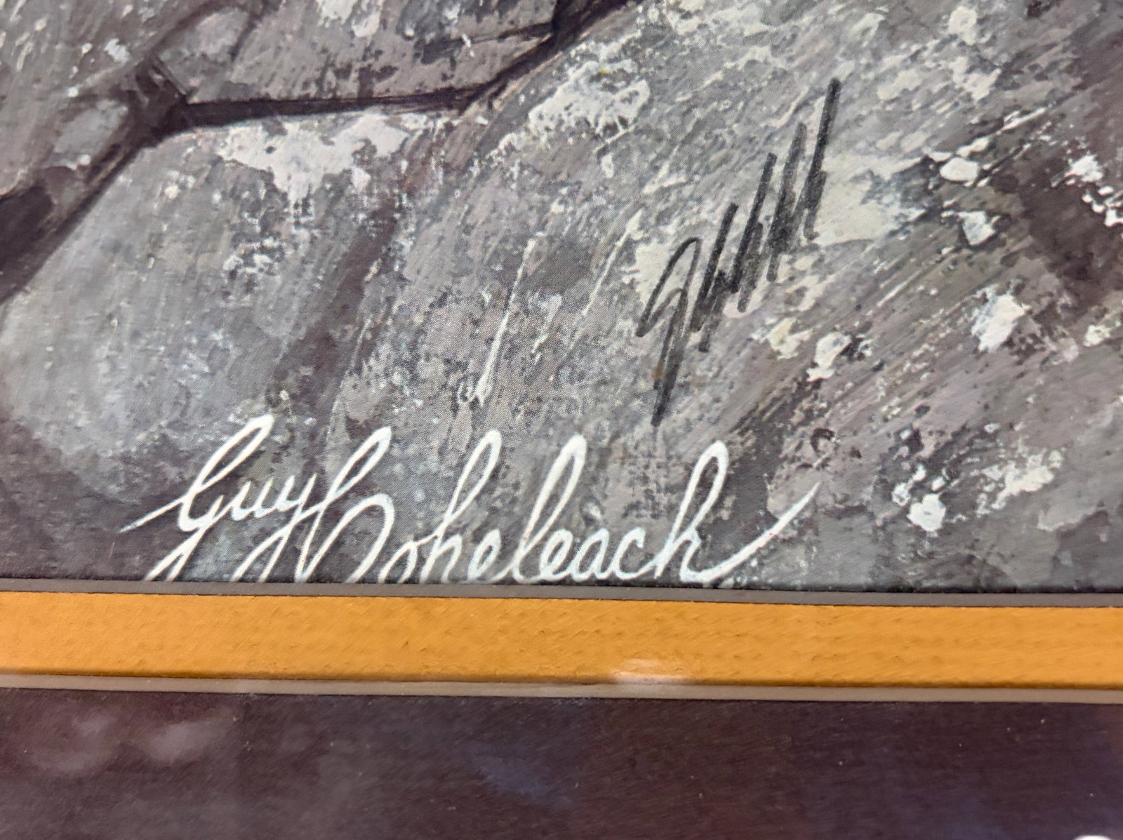 Guy Coheleach Signed Eagle Lithograph Framed Art - 5