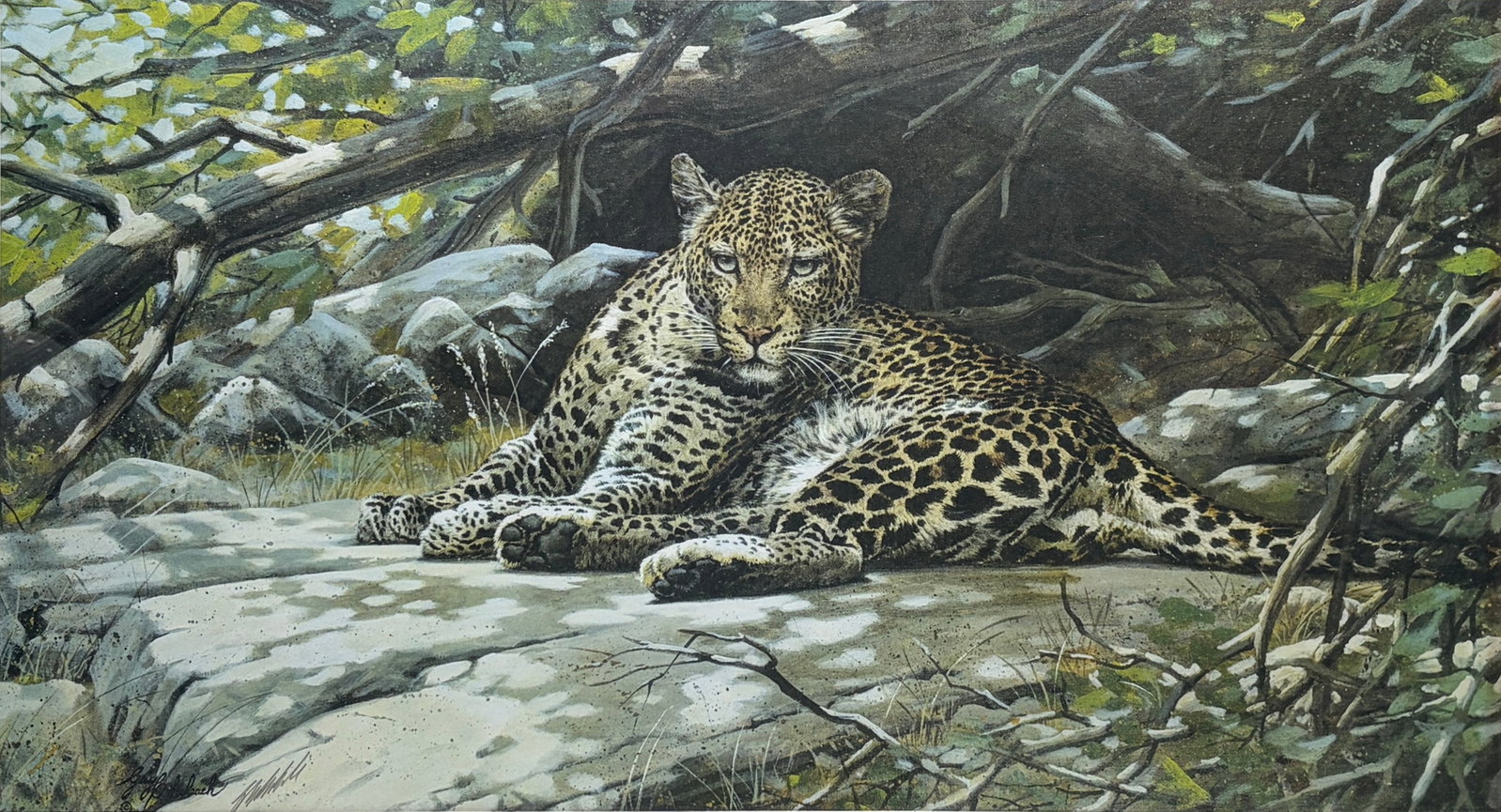 Guy Coheleach Signed Leopard Lithograph Framed Art: Framed signed lithograph by renowned wildlife artist Guy Coheleach, depicting a leopard resting along a riverbank in a wooded landscape. The title plaque reads 'Leopard's Lair.' Embossed publisher's