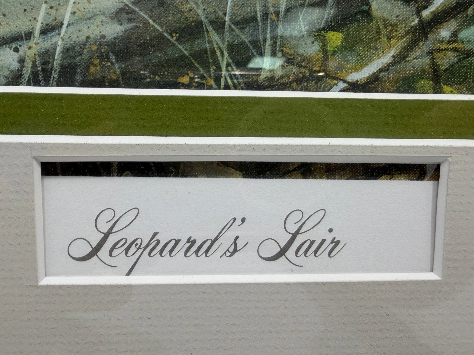 Guy Coheleach Signed Leopard Lithograph Framed Art - 5