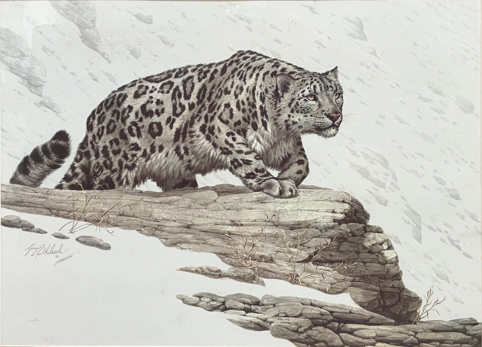 Guy Coheleach Mountain Stalk Signed Lithograph Art: Framed signed limited edition lithograph by renowned wildlife artist Guy Coheleach, titled 'Mountain Stalk.' Depicts a snow leopard climbing a rocky mountain ledge in a winter landscape. Numbered