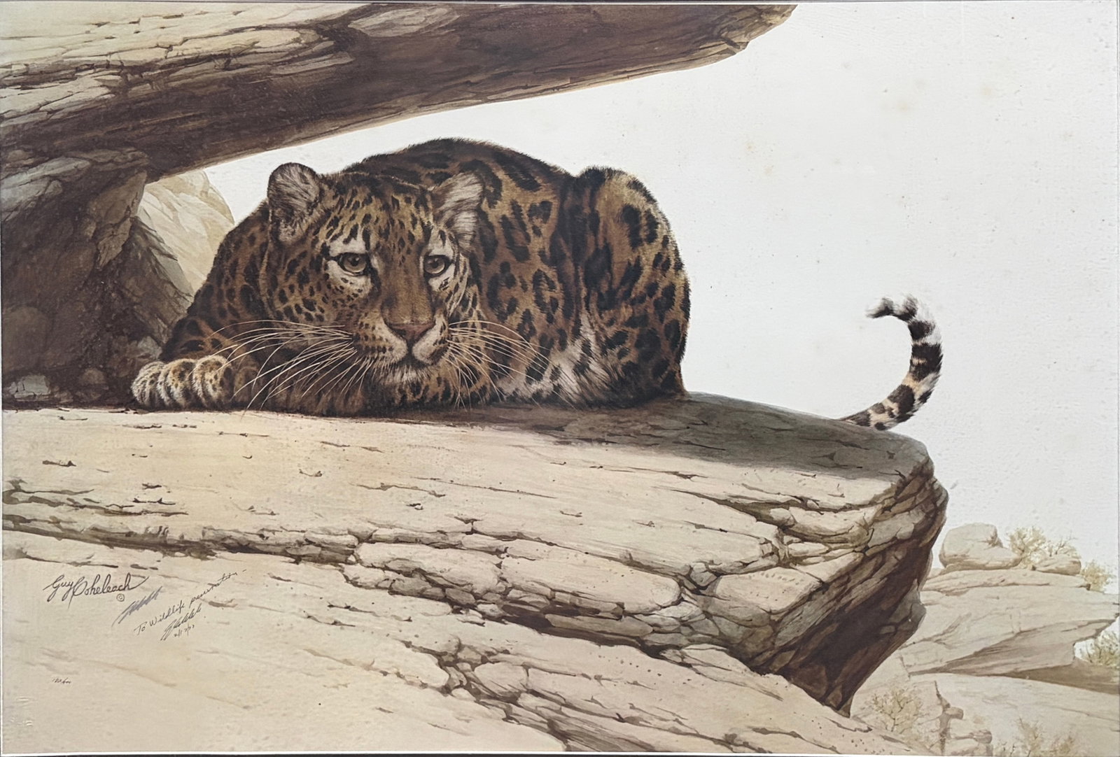 Guy Coheleach Leopard on Rock Signed Lithograph: Framed signed limited edition lithograph by renowned wildlife artist Guy Coheleach, titled 'Leopard on a Rock.' Depicts a leopard crouched between rocky outcroppings in a natural landscape. Numbered