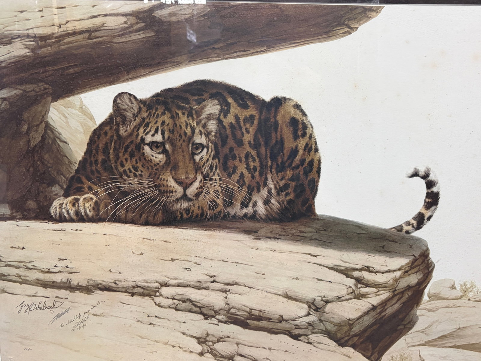 Guy Coheleach Leopard on Rock Signed Lithograph - 3