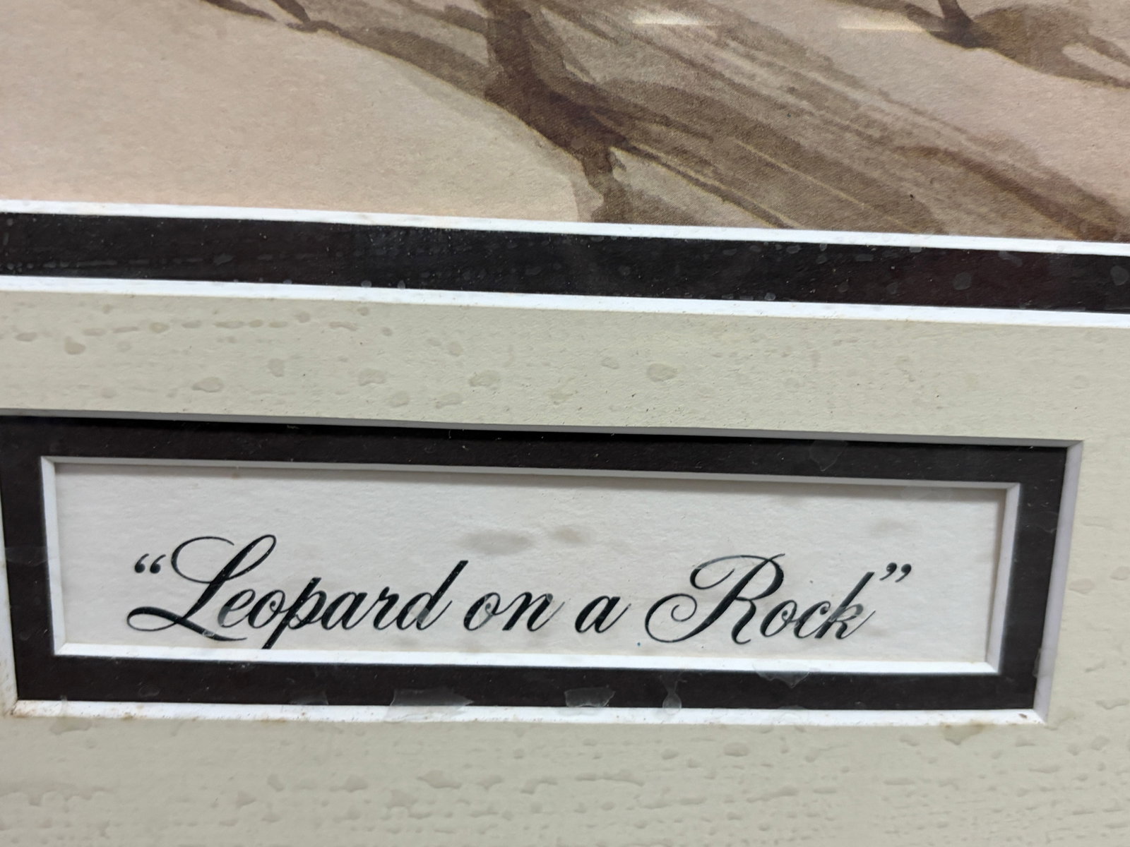 Guy Coheleach Leopard on Rock Signed Lithograph - 5