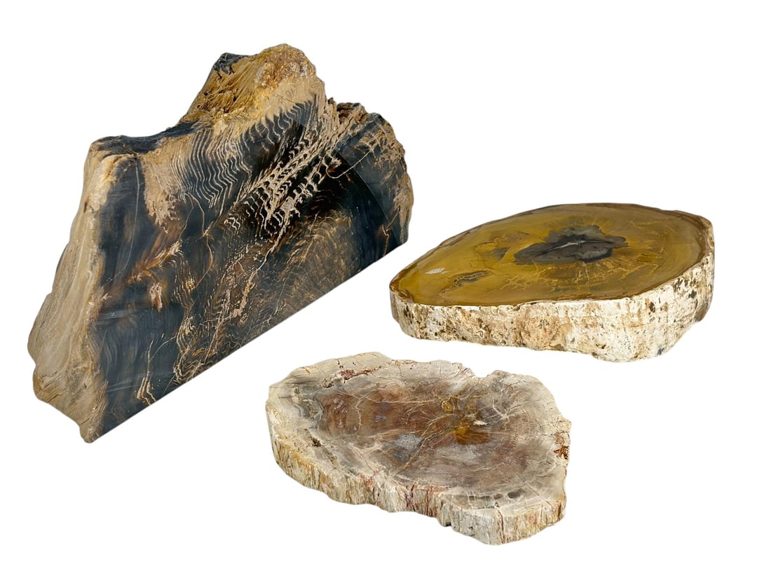 Petrified Wood & Stone Specimens 3pc LOT (1 of 7)