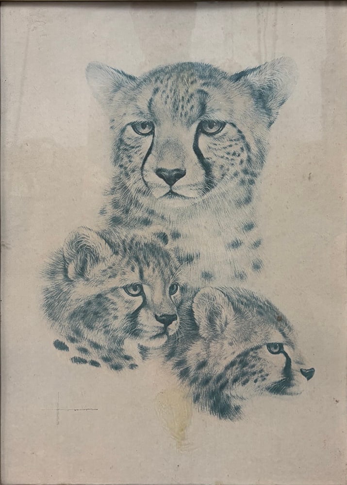 VTG 1970s Cheetah Wildlife Portrait Drawing 28": Vintage 1970s wildlife portrait depicting three cheetahs rendered in detailed monochromatic linework. The composition features one larger cheetah above two smaller profiles, emphasizing the animals