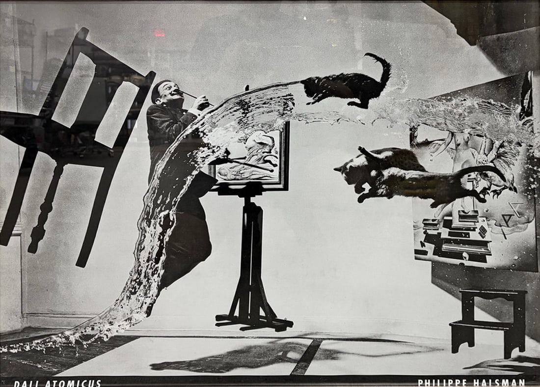 Philippe Halsman Dali Atomicus Framed Photo Print (1 of 6)