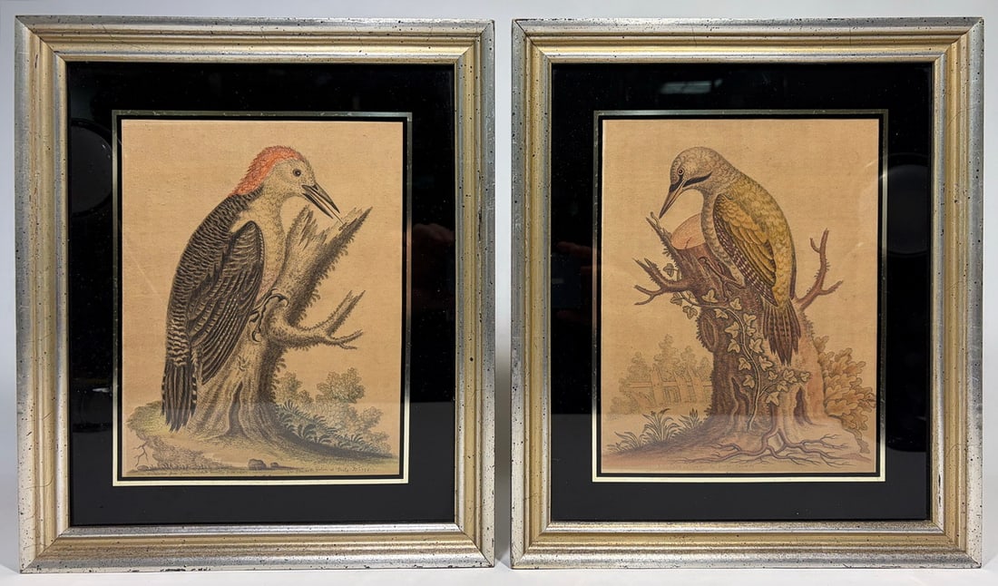 George Edwards Bird Engravings Framed 2pc LOT (1 of 9)