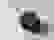 item-80456081=1