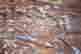 item-123461613=13