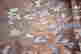 item-123461613=16