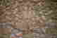 item-123461613=2