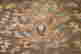 item-123461613=6