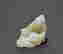 item-127648013=3