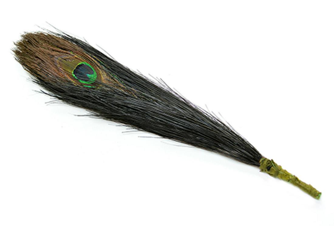 A Fine Peacock Feather Court Plume (1 of 1)
